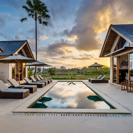 Villa Mango Paradise